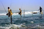 fishing at Ahangama beach