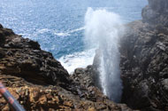 Blowhole