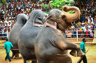 Dehiwala Zoo