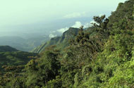 Horton Plains