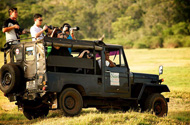 Jeep Safari in Minneriyan National Park