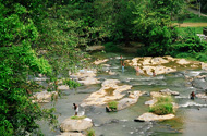 Ma Oya River River Bath