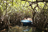 Madu river boat safari