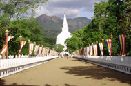 Mahinyangana Raja Maha Vihara