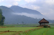 Mathale Village Environment