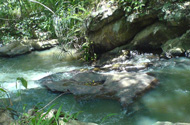 Natural Water Pool in Sudu Ganga – Mathale