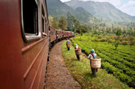 Nuwara Eliya to Ella by Train