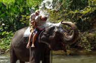 Pinnawala Elephant Ride