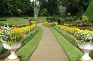 Kandy Royal Botanical Gardens