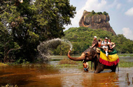 Sigiriya Elephant Back Safari