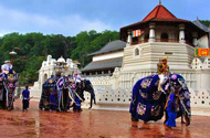 Temple of the Tooth Ceremony