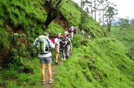 White Water Rafting Kithulgala Mountain