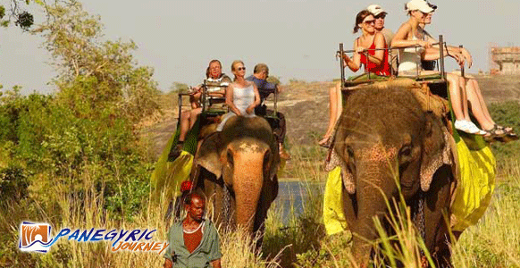 Habarana Elephant Ride