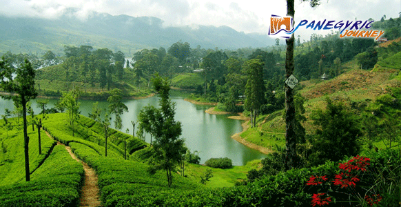 Nuwara Eliya Sri Lanka